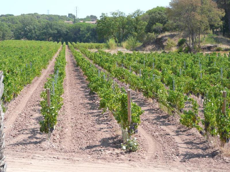 La Bastide Du Clos Des Roses - Teritoria Fréjus 외부 사진