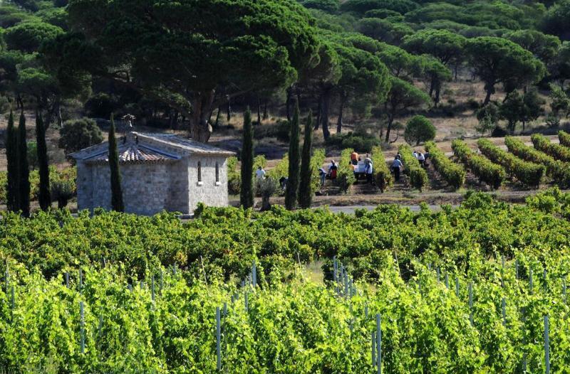 La Bastide Du Clos Des Roses - Teritoria Fréjus 외부 사진