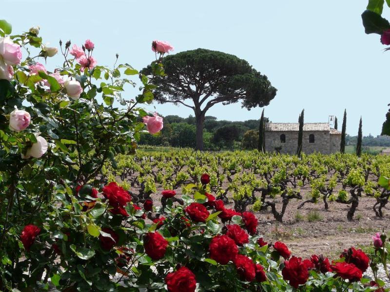 La Bastide Du Clos Des Roses - Teritoria Fréjus 외부 사진